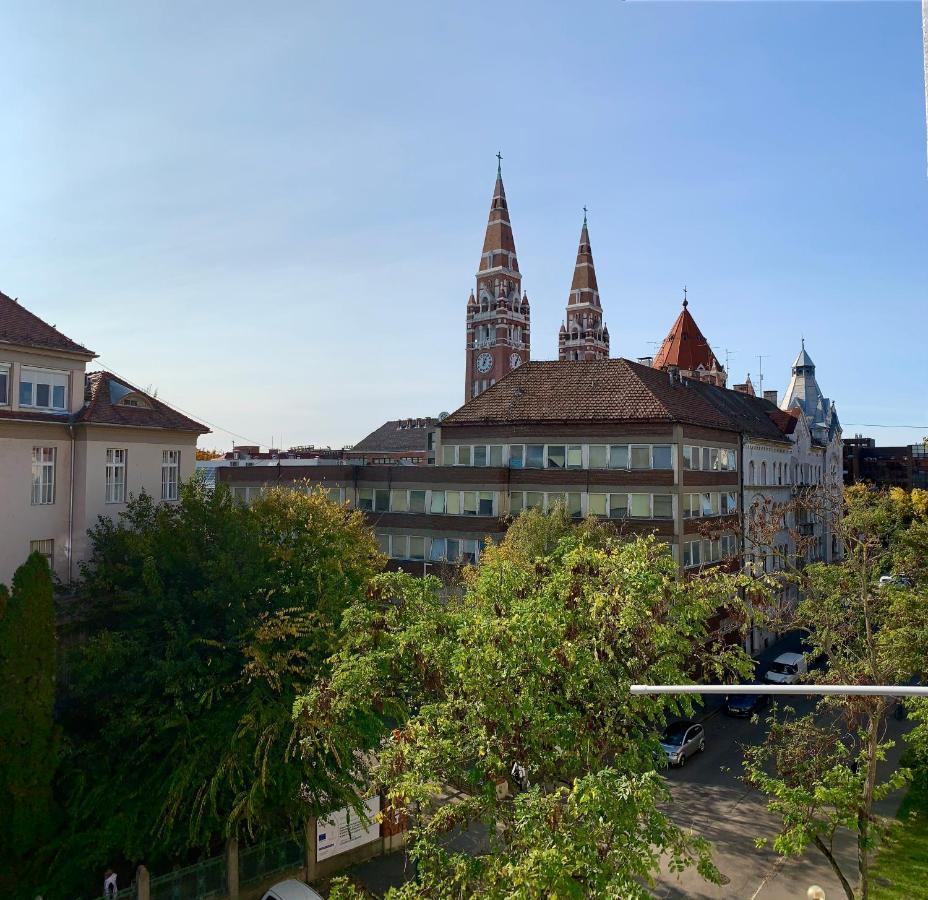 Cozy Apartment In The City Centre Next To Dom Square سيغيد المظهر الخارجي الصورة