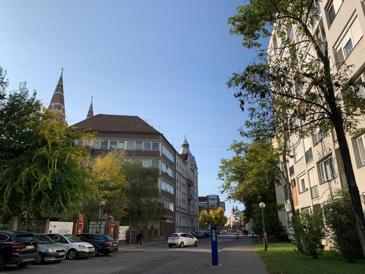 Cozy Apartment In The City Centre Next To Dom Square سيغيد المظهر الخارجي الصورة
